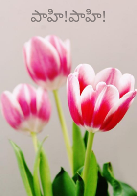 పాహి!పాహి!