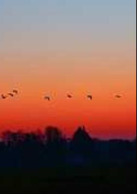 ବେଳ ଯାଏ ଗଡି