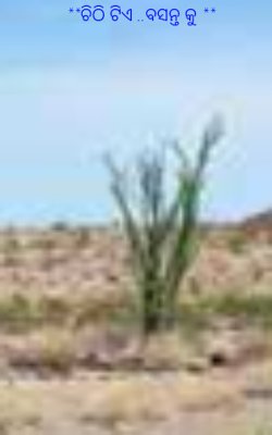 ଚିଠି ଟିଏ ବସନ୍ତ କୁ