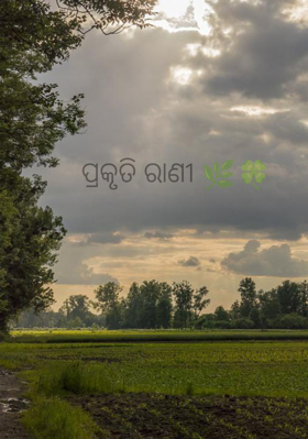 ପ୍ରକୃତି ରାଣୀ 🌿🍀