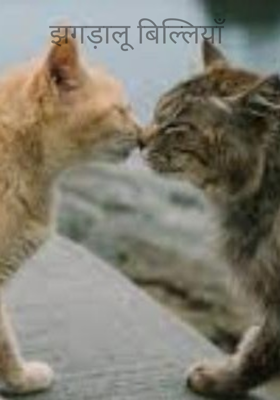 झगड़ालू बिल्लियाँ