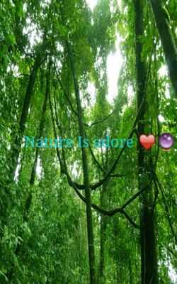 ప్రకృతి