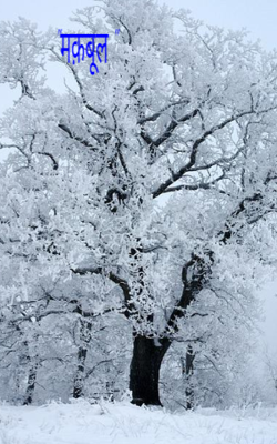 "मक़बूल "