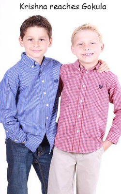 Krishna reaches Gokula