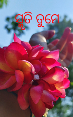 ସ୍ମୃତି ତୁମେ