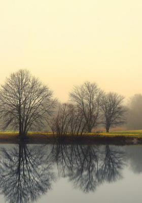 ये दिल....