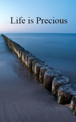 लाइफ इज प्रिसियस