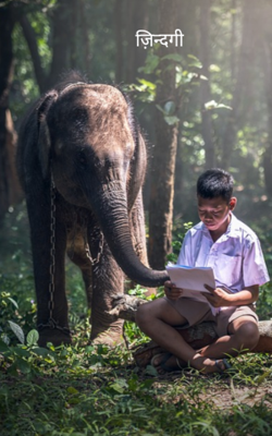 ज़िन्दगी