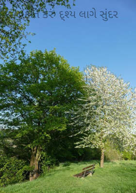 પ્રકૃતિ કેરું દ્શ્ય લાગે સુંદર