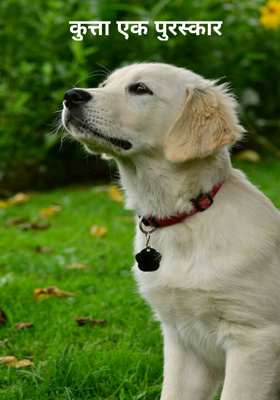 कुत्ता एक पुरस्कार