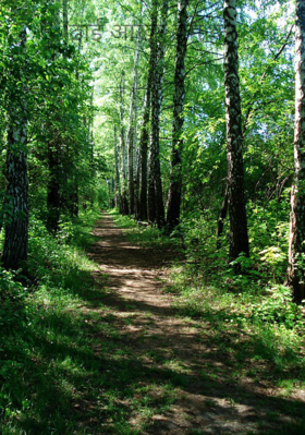 ढाई आखर प्रेम का