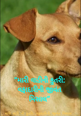મારી વાડી ની કુતરી- વફાદારીની જીવંત મિશાલ 