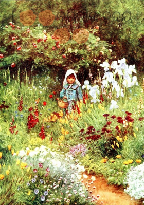 ବଗିଚାର ହୃଦୟ