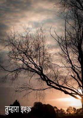 तुम्हारा इश्क़