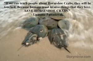 "If we can teach people about Horseshoe Crabs, they will be touched. Because humans want to save things that they love.
SAVE HORSESHOE CRABS."
- Upasana Pattanayak.