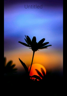 मैं भी न