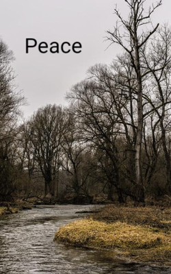 Peace
