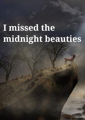 I Missed The Midnight Beauties
