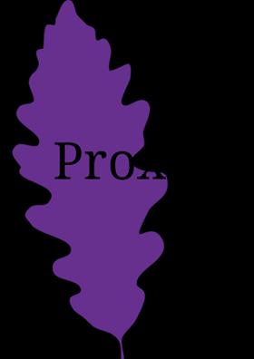 Proxy
