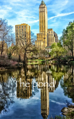 The pond