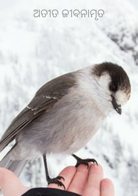 ଅତୀତ ଜୀବନାମୃତ