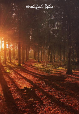 అందమైన ప్రేమ