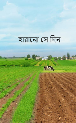 হারানো সে দিন
