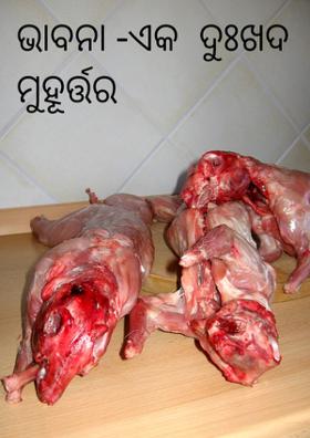 ଭାବନା -ଏକ  ଦୁଃଖଦ  ମୁହୂର୍ତ୍ତର