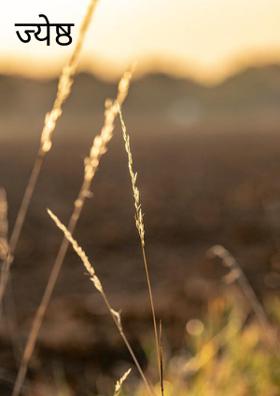 ज्येष्ठ नागरिक