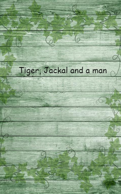 Tiger, Jackal And A Man