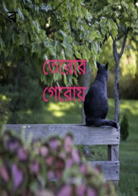 তেরোর গেরোয়