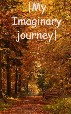 My Imaginary Journey