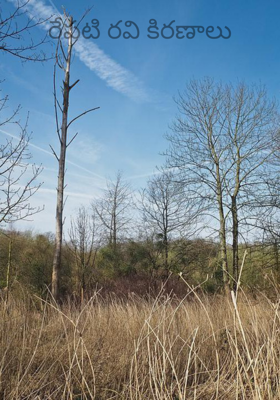 రేపటి రవి కిరణాలు