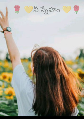 నీ స్నేహం