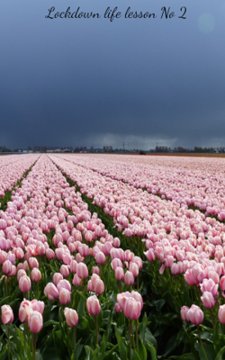 Lockdown life lesson No 2