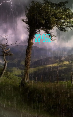 ଝଡ଼ ପରେ....