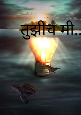 तुझीच मी.....