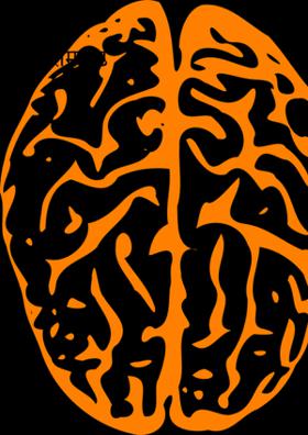 नैरोमाइंड