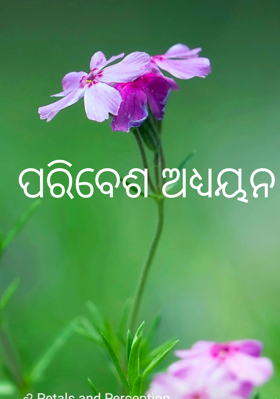 ପରିବେଶ ଅଧ୍ୟୟନ