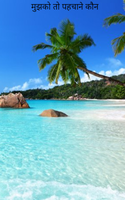 मुझको तो पहचाने कौन