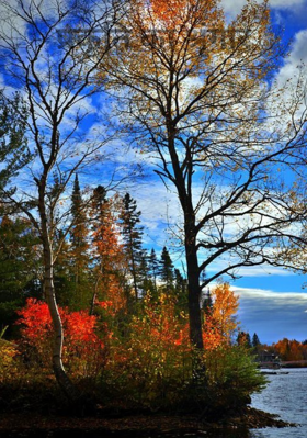 प्रकृति का श्रृंगार