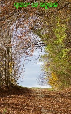 ସ୍ବାଗତଂ ହେ ଋତୁରାଜ 