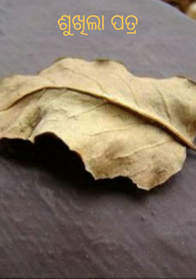 ଶୁଖିଲା ପତ୍ର