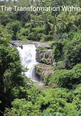 The Transformation Within
