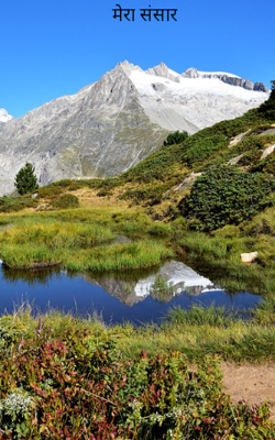 मेरा संसार