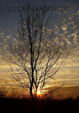 LOST IN MORNING!