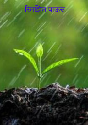 रिमझिम पाऊस