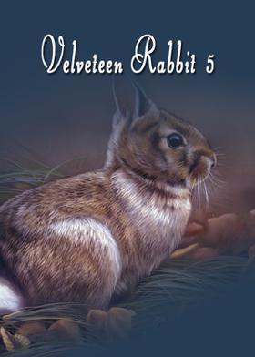 Velveteen Rabbit #5