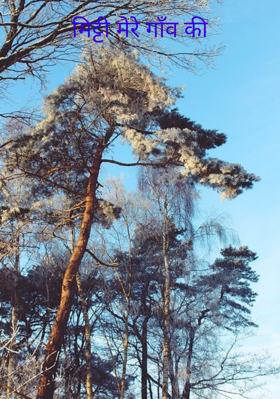 मिट्टी मेरे गाँव की