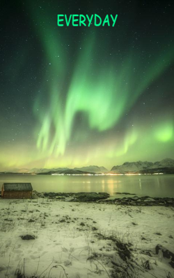 Everyday